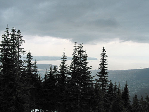 View of bay from Grouse Mountain