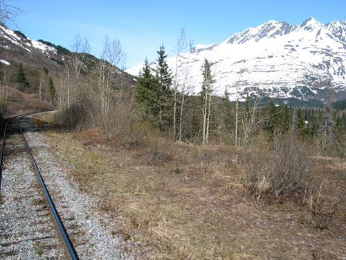 Mountain in the distance behind the train tracks