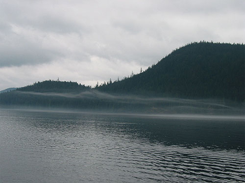 Smooth water with a slight fog