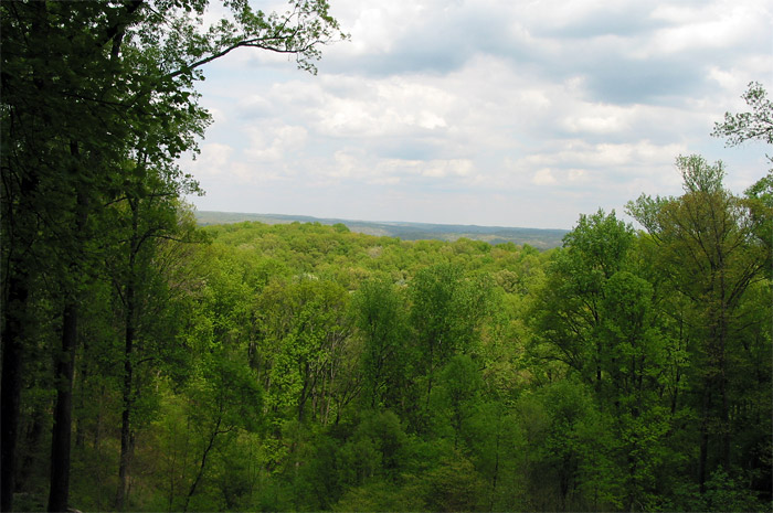 Nature walk in Brown County State Park