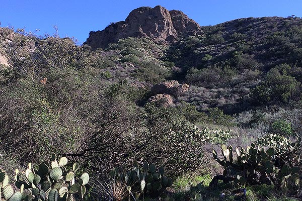 Rocky hills