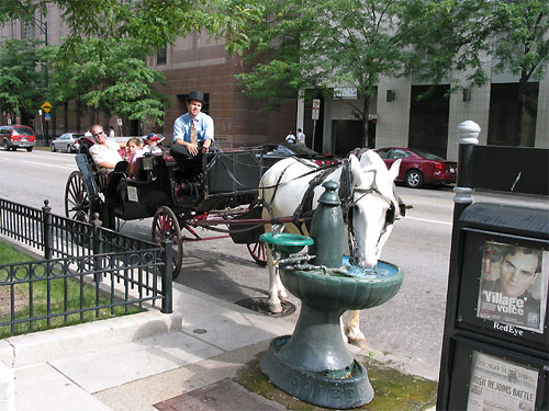 Horse drinks at fountain on Michigan Avenue