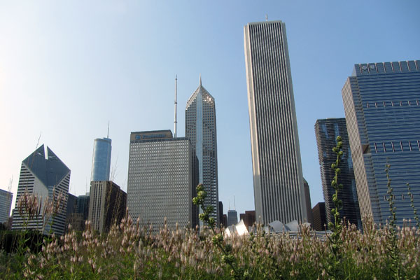 Millennium Park with flowers blooming