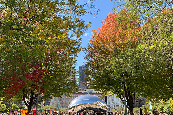 Beautiful Fall day at millennium Park at Cloud Gate