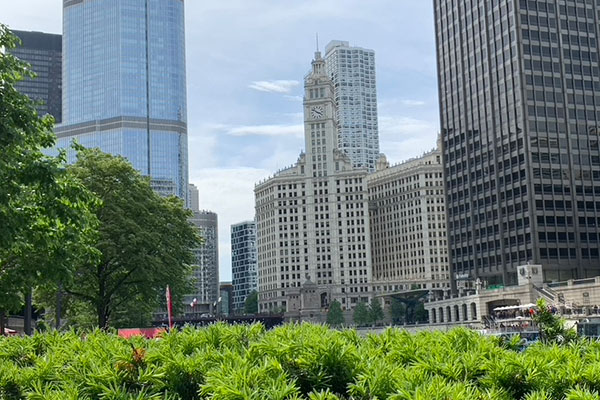 Wrigley Building in the distance from the Chicago Riverwalk