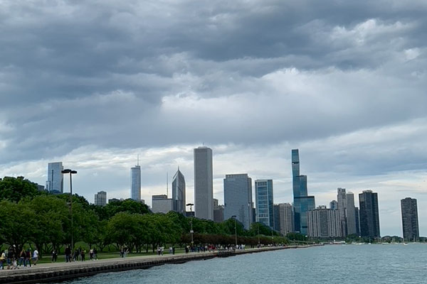 View of Chicago Skyline from Grant Park during day