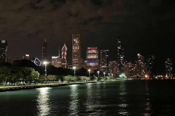View of Chicago Skyline from Grant Park at night