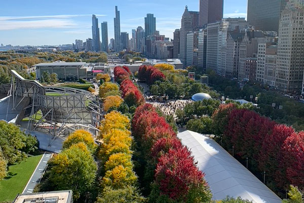 Millennium Park with fall tree colors