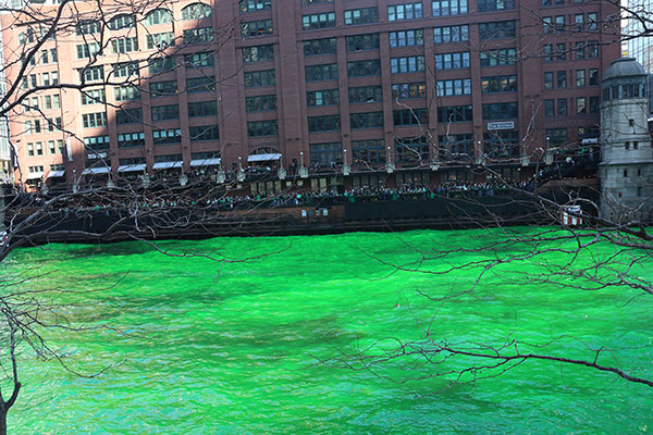Dyeing the Chicago River green as viewed through tree branches