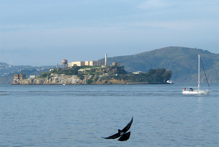 San Francisco Bay with Alcatraz in background