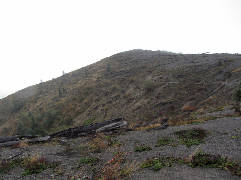 ash and volcanic rock at Mount St. Helens