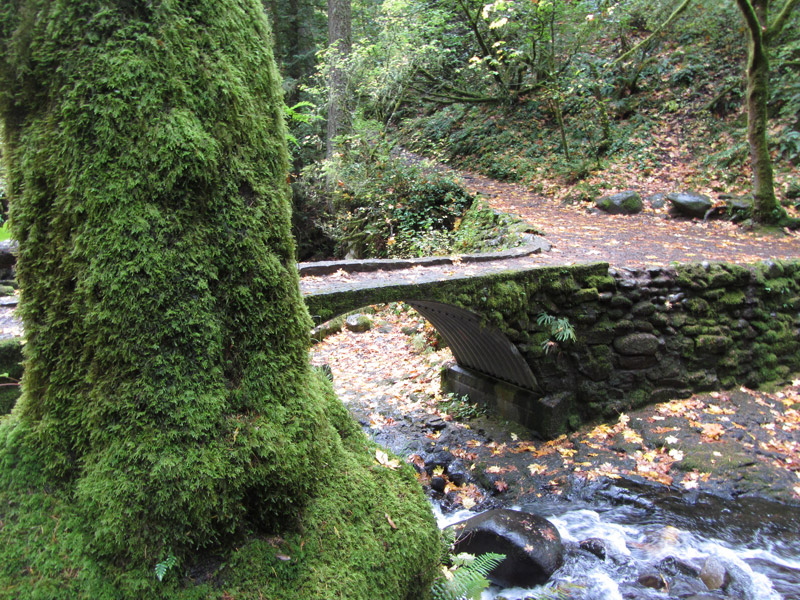 Bridge on path at Multnomah Falls