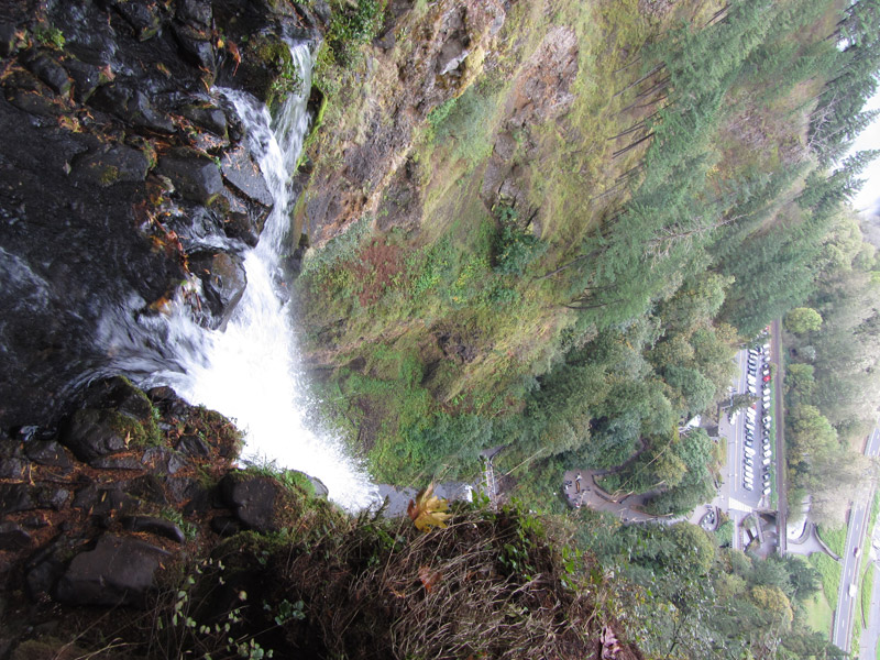 View from top of Multnomah Falls