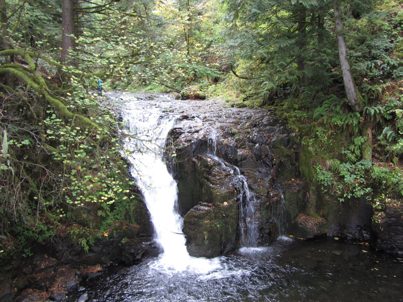 Stream and small waterfall at Multnomah Falls