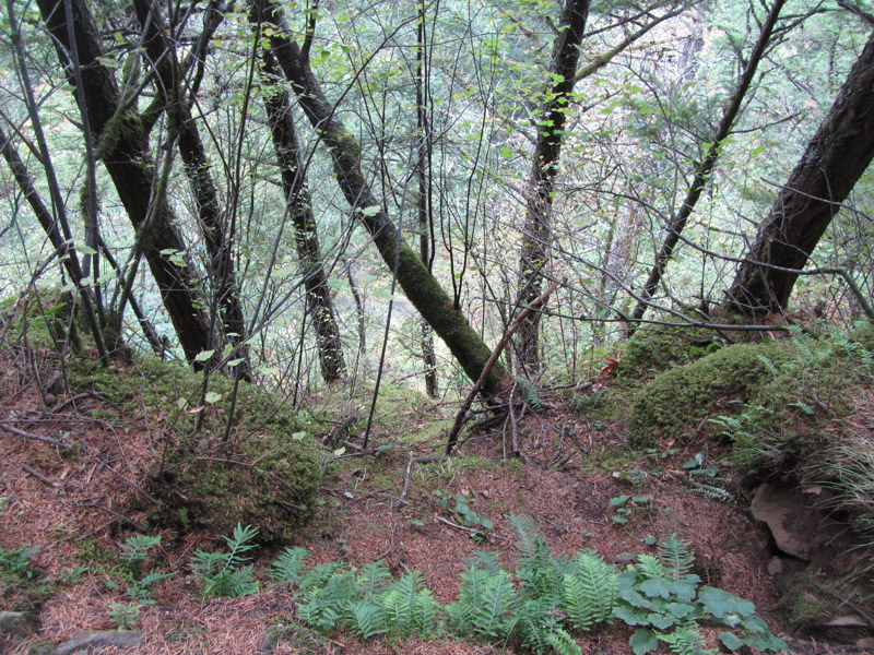 Edge of path at Multnomah Falls