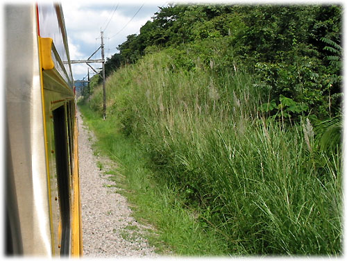 Train passes grass fields