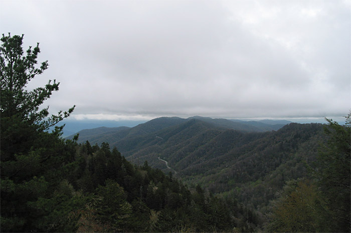 View of valley in Great Smoky Mountains National Park