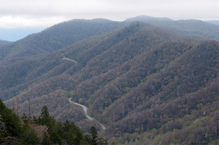 Road through Valley