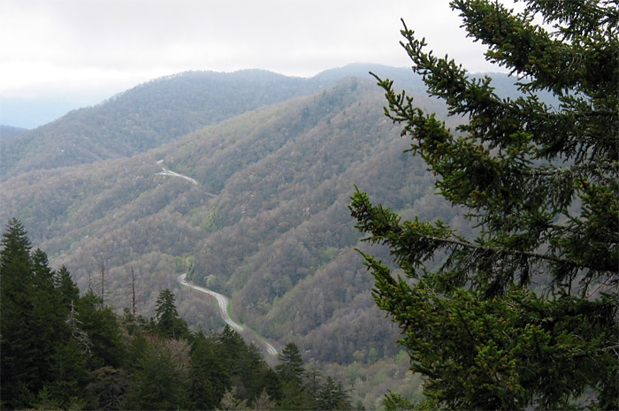 Road in Valley of Great Smoky Mountains National Park