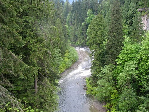 Water under Capilano Suspension Bridge