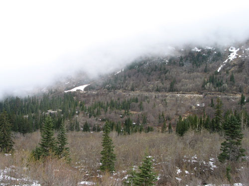 fog on the hills