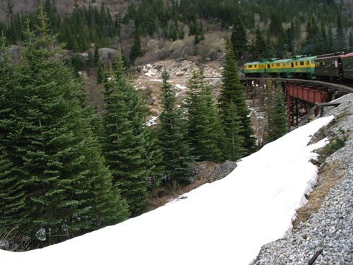 Train passes evergreens and approaches bridge