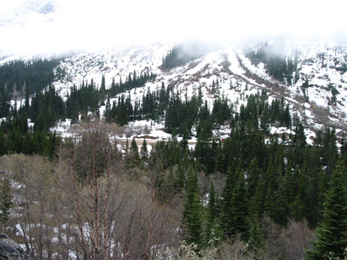 Fog over the mountains