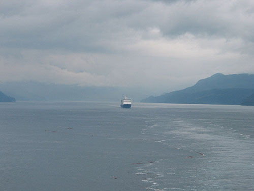 ANother cruise ship behind the Sun Princess