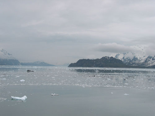 Ice floats from the glacier calving area