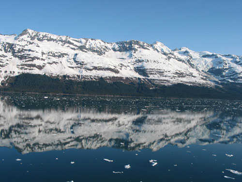 Chunks of ice float in the water