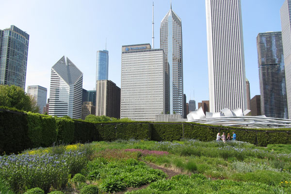 Millennium Park looking towards the Prudential Building