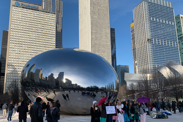 Group photo of bridal party in Millennium Park