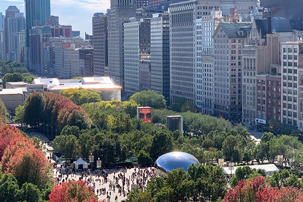 Fall tree colors in millennium Park