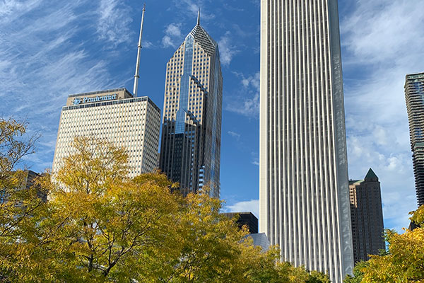 Fall tree colors in front of skyline