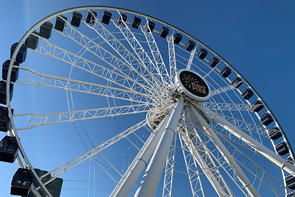 Ferris Wheel at Navy Pier