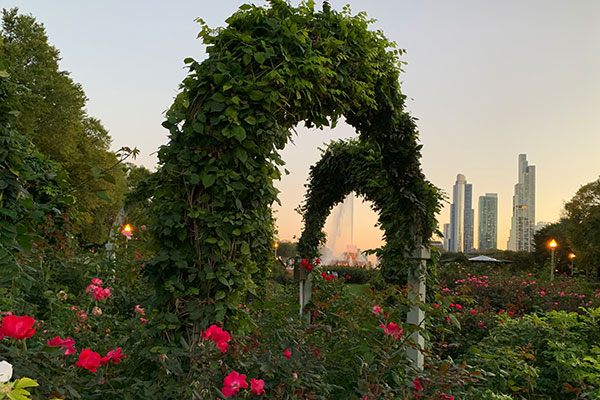 Looking at Buckingham Fountain through a floral arch