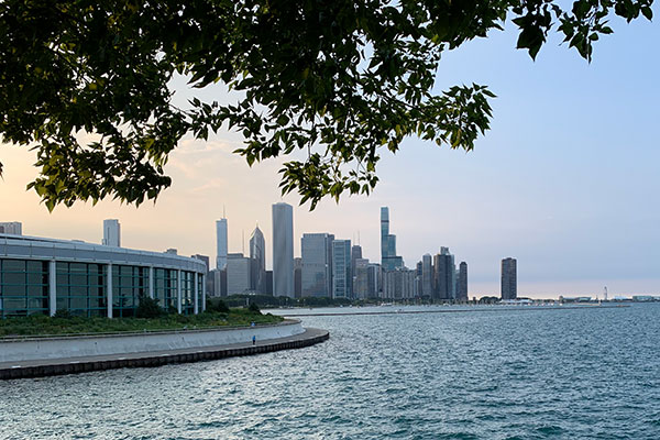 View of skyline from under a tree