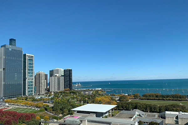 Millennium Park with Navy Pier in backgorund