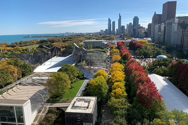 Millennium Park with Chicago skyline behind