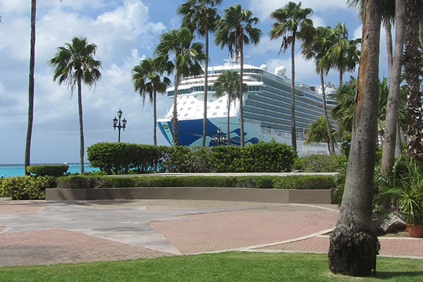 Regal Princess behind palm trees