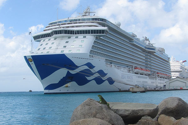 Iguana near the Regal Princess