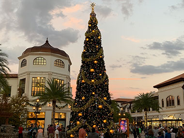 People looking at a Christmas tree