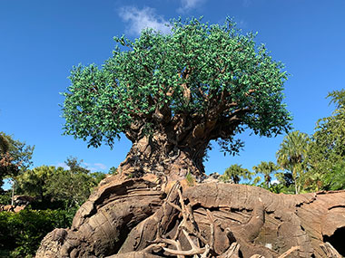Tree of life and roots with carvings