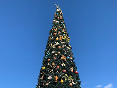 Christmas tree at Animal Kingdom