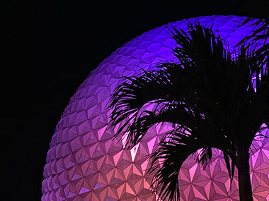 Palm tree in front of Spaceship Earth attraction