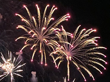 Fireworks in Magic Kingdom