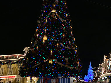 Christmas tree in Magic Kingdom