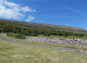 Cliffs of Moher & Killarney - June 23, 2014