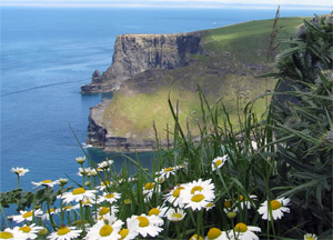 Cliffs of Moher & Killarney - June 23, 2014