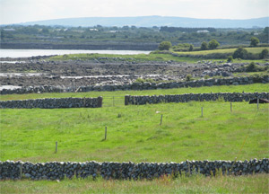 Cliffs of Moher & Killarney - June 23, 2014